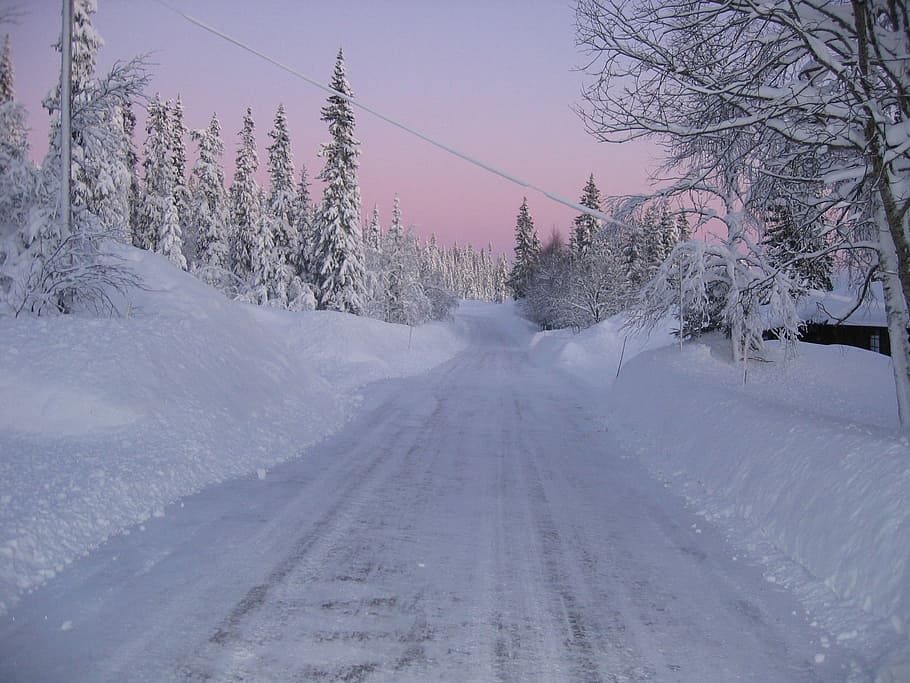 Winter, Snow, Sunset, Forest, Road, cold temperature, weather HD wallpaper