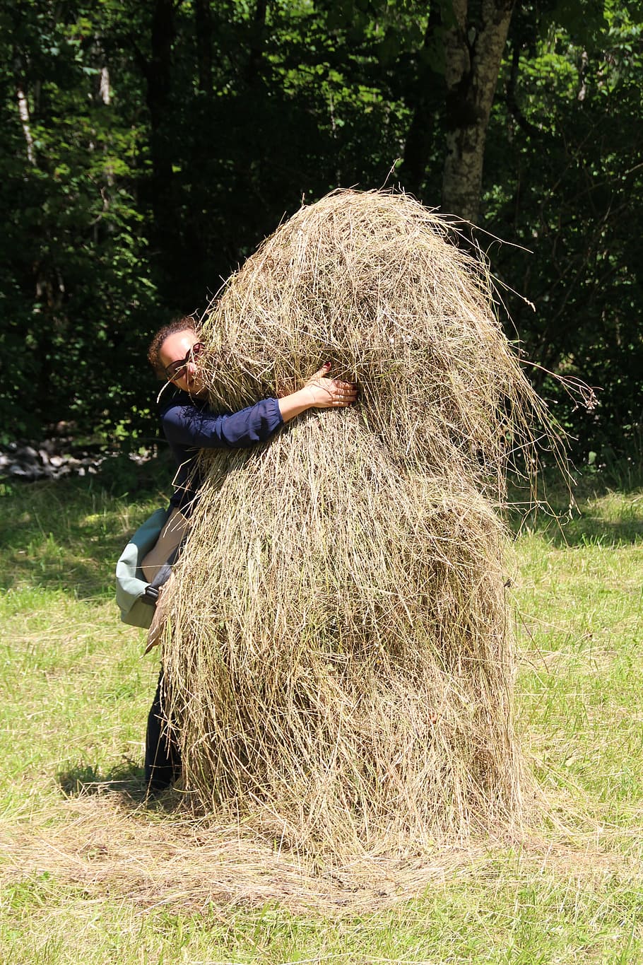 haystack, hide, pile, harvest, plant, land, real people, one person HD wallpaper