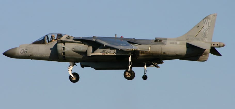 harrier, plane, jet, fighter, military, aircraft, airforce HD wallpaper