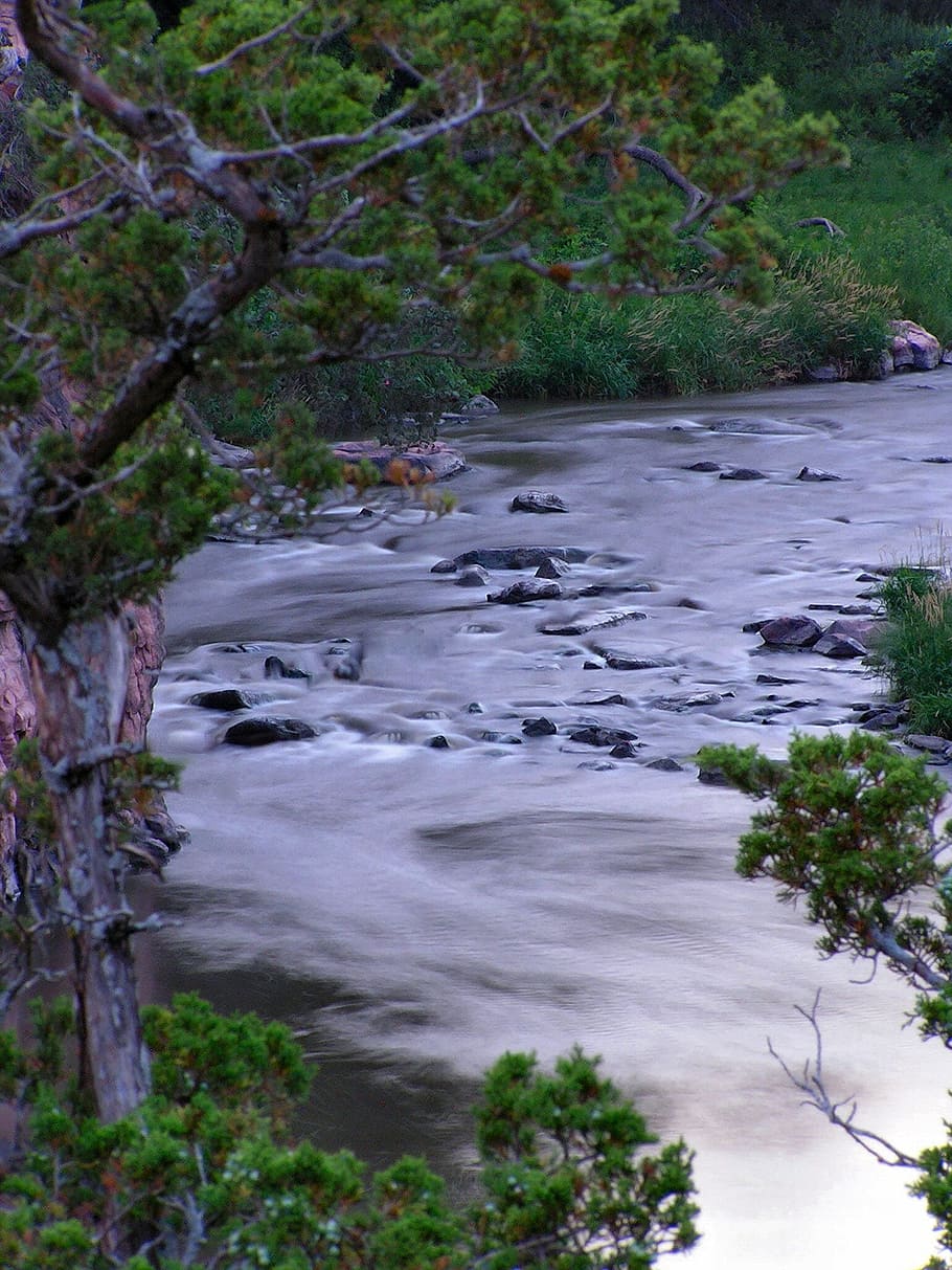 river, stream, water, nature, natural water, green, plant, tree HD wallpaper