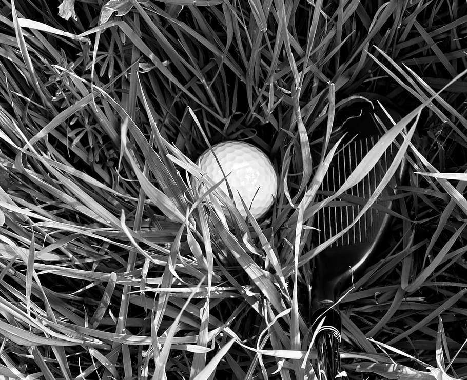 golf, golf ball, rough, grass, black and white, sport, game, HD wallpaper