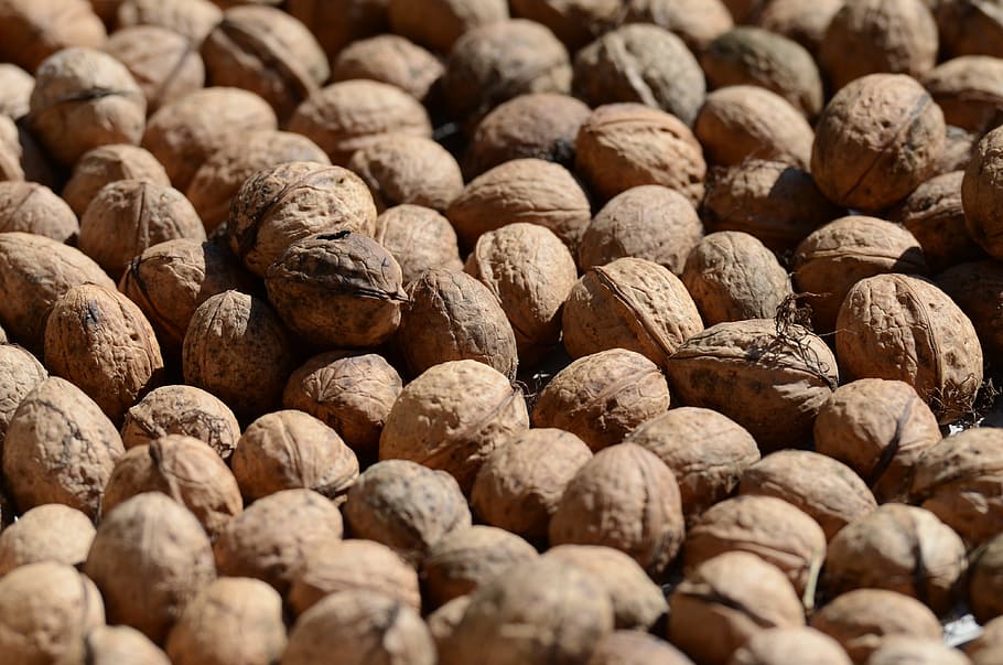 Autumn, Nuts, Walnut, Background, Mood, background image, food HD wallpaper