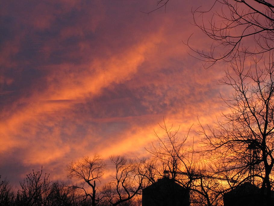 tree, sunset, dawn, dusk, landscape, sky, bare tree, cloud - sky HD wallpaper