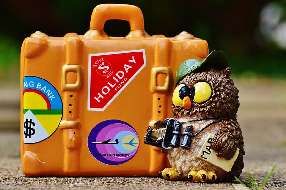 owl on holiday figurine, tourist, map, binoculars, camera, travel HD wallpaper