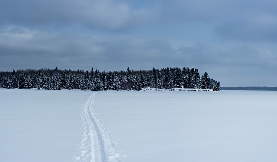 trail on white snowy road going through trees, green trees, track HD wallpaper