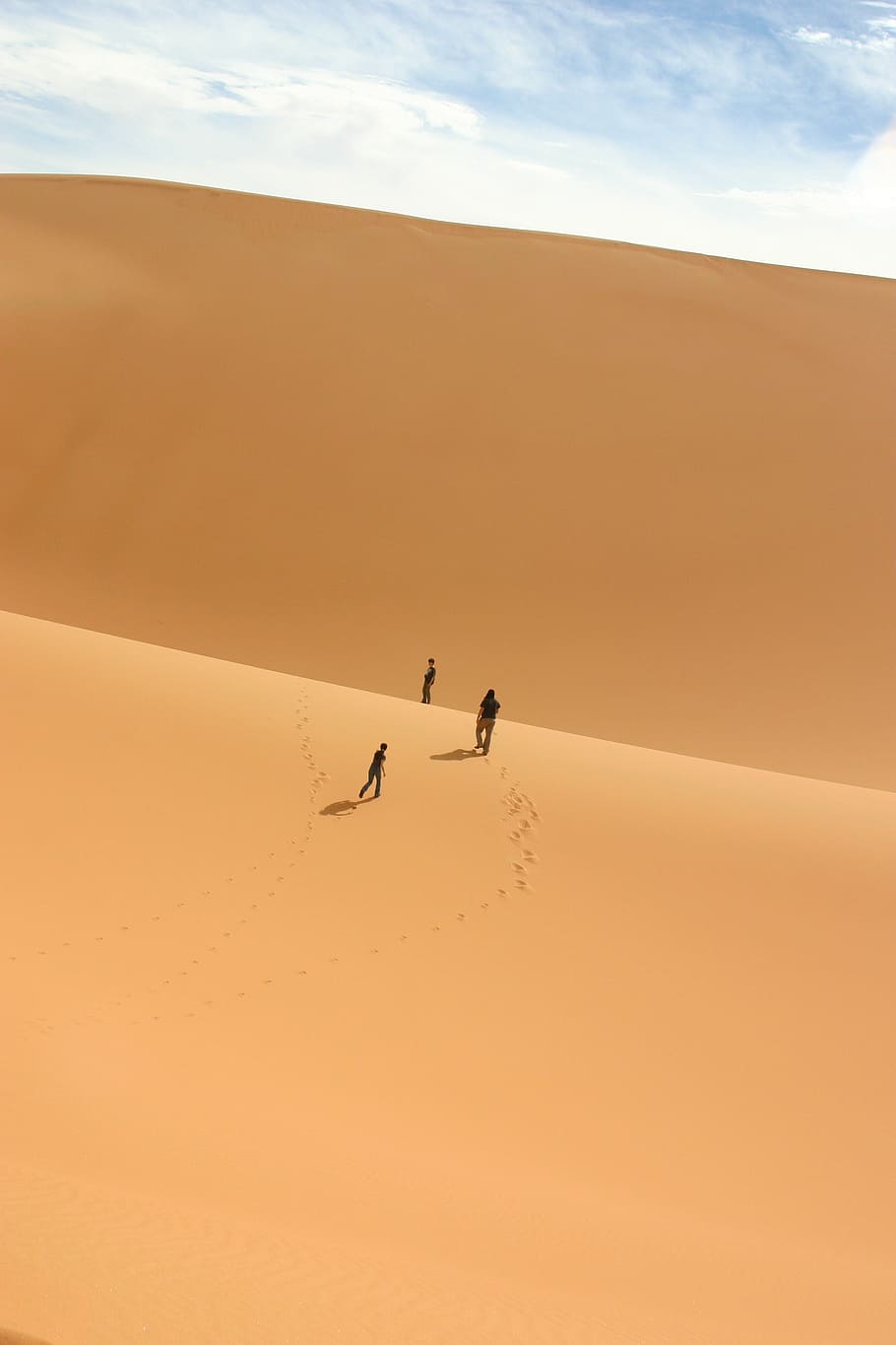 desert, sahara, duna, scenics - nature, beauty in nature, animal themes HD wallpaper