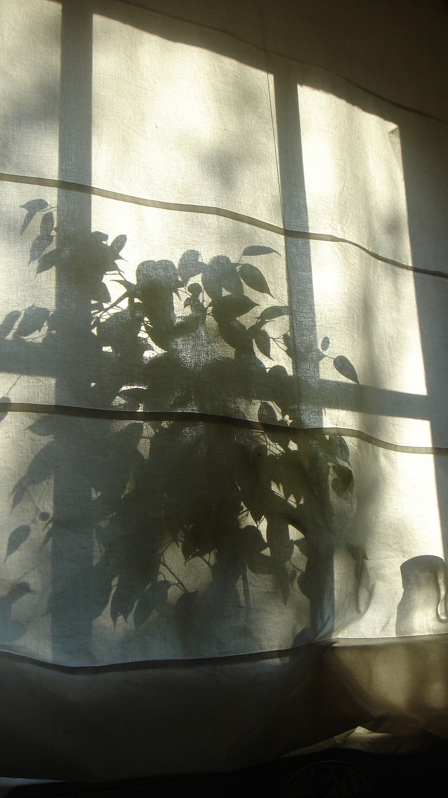 shadow, silhouette, plant, indoors, no people, day, window HD wallpaper