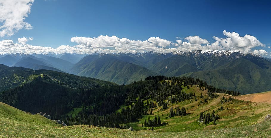 green trees beside mountains under cloudy sky at daytime, landscape HD wallpaper