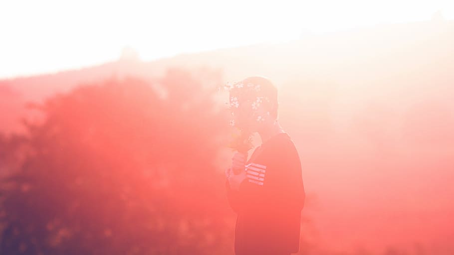 flowers and twilight, untitled, red, mountain, person, gradient HD wallpaper