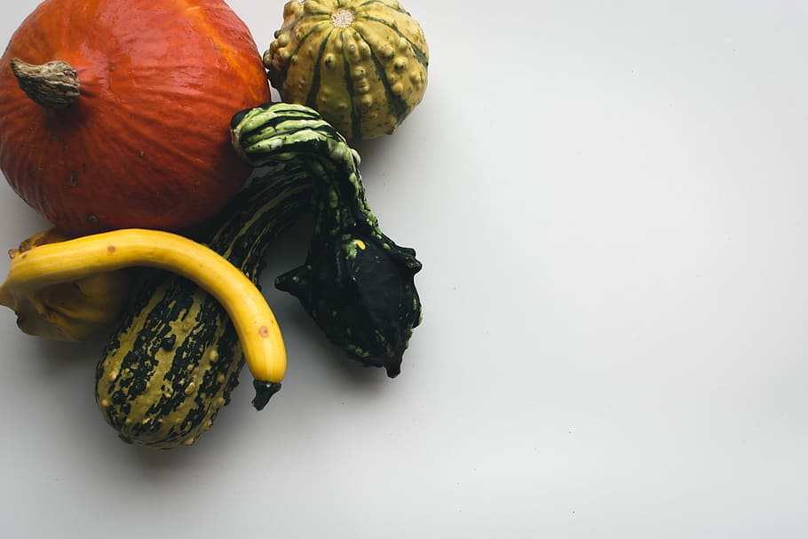 Decorative pumpkins, top view, white background, food, vegetable HD wallpaper