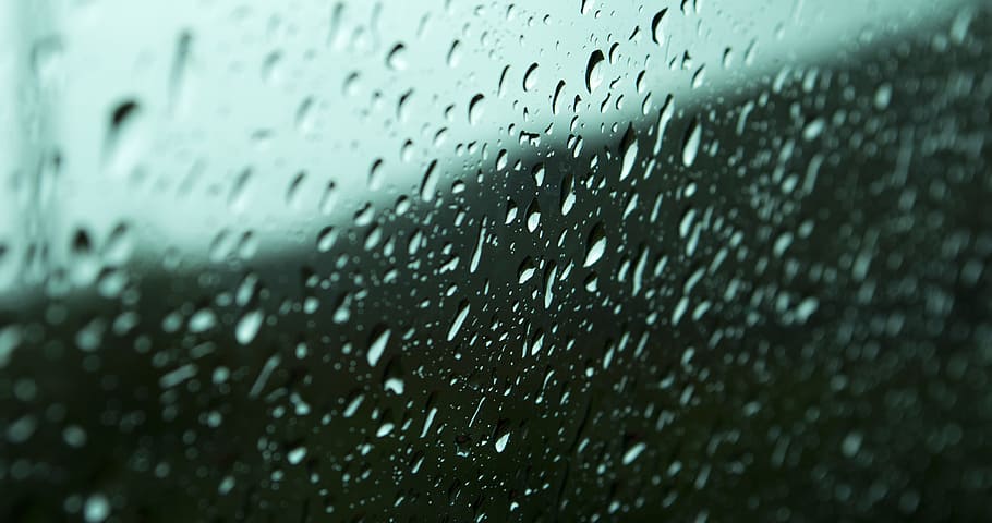 macro photography of droplets on glass, water dew on glass, rainy days HD wallpaper
