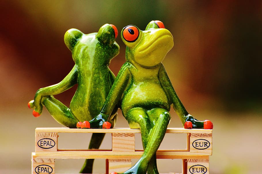 friends, sit, pallets, frogs, euro pallets, rest, break, funny HD wallpaper