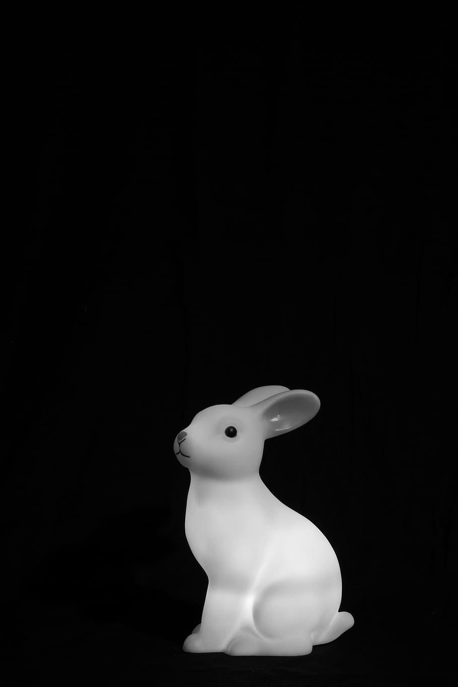 Update 130+ white rabbit wallpaper super hot - xkldase.edu.vn