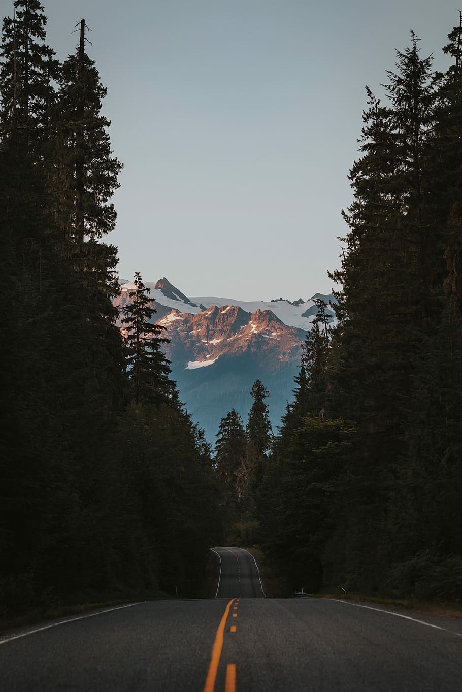 landscape photography of mountains, trees, and road, black asphalt road in between green trees HD wallpaper