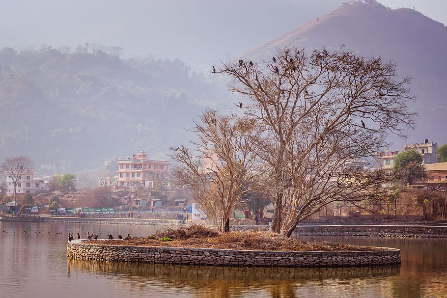 water, tree, reflection, nature, river, kathmandu, nepal, scenery HD wallpaper
