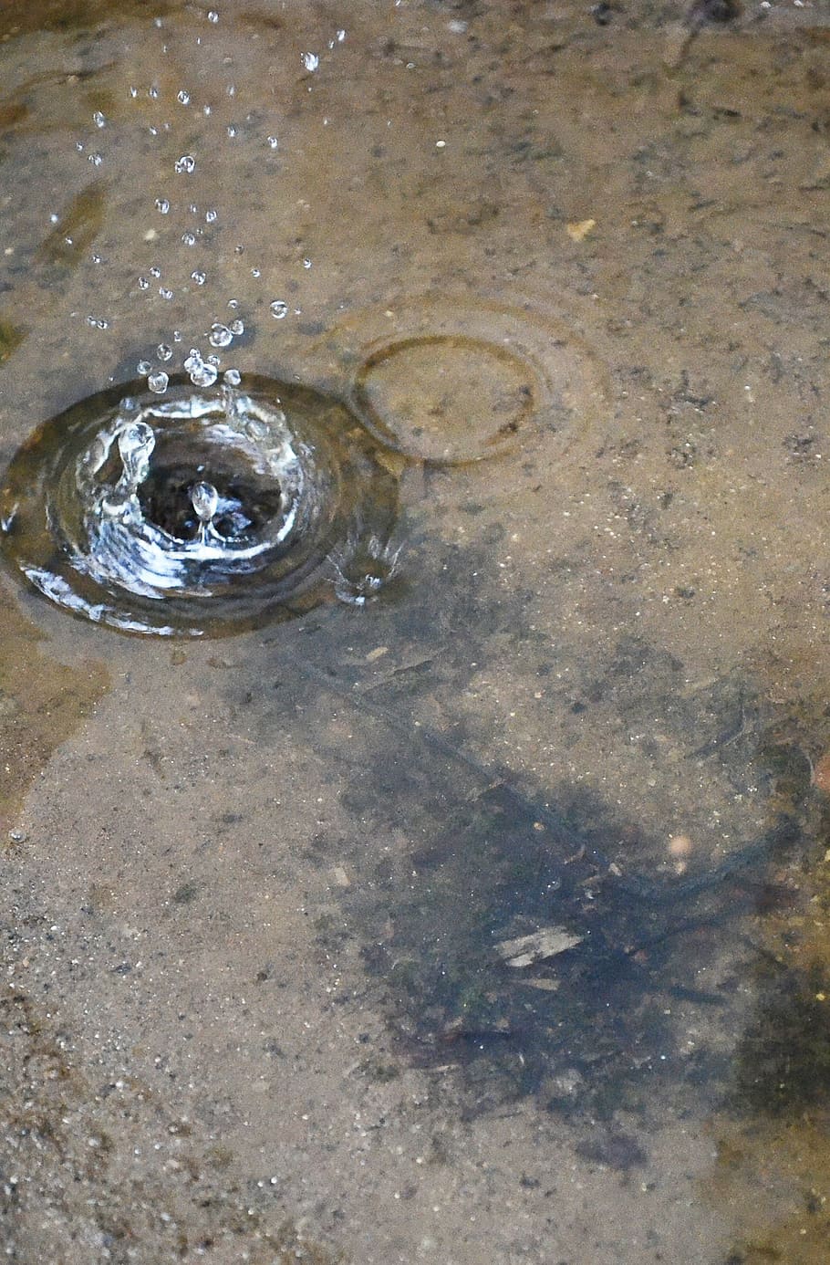 rain drop, water drop, drip, dripping, ripple, mawanella, sri lanka HD wallpaper