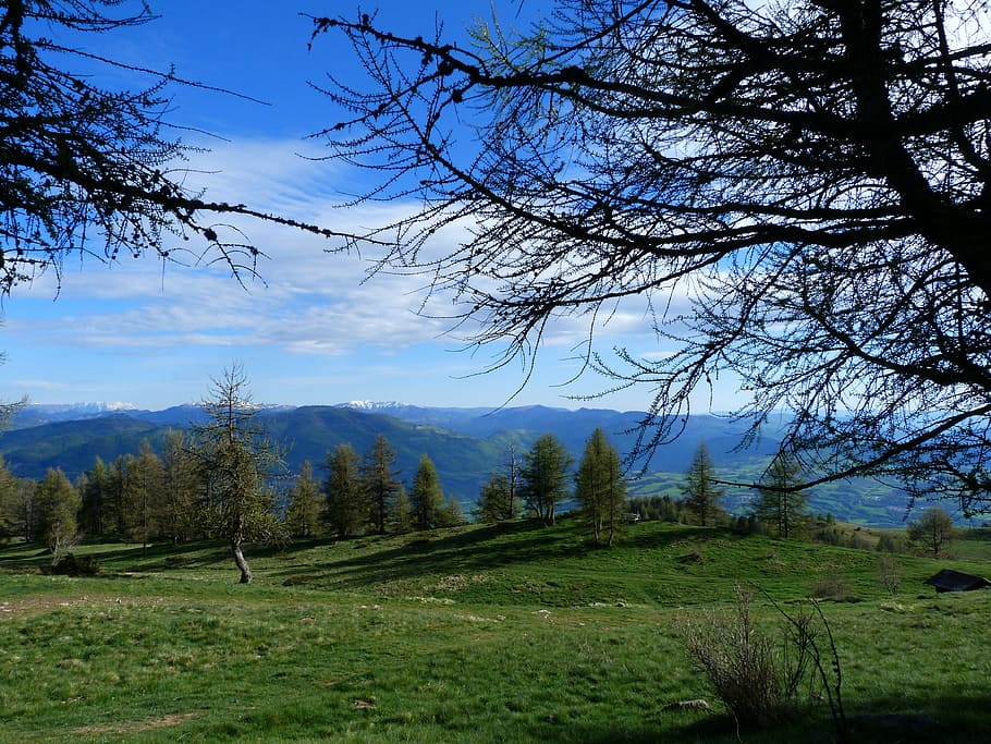 landscape, nature, mountain, spring, alps, hiking, meadow, edge of the forest HD wallpaper