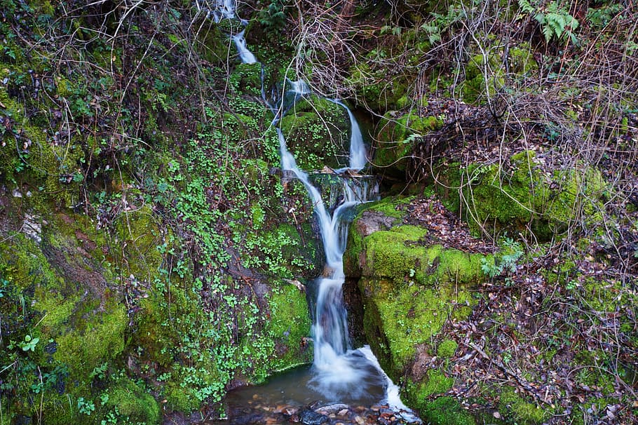 waterfall, mountain, forest, nature, landscape, stream, outdoor HD wallpaper