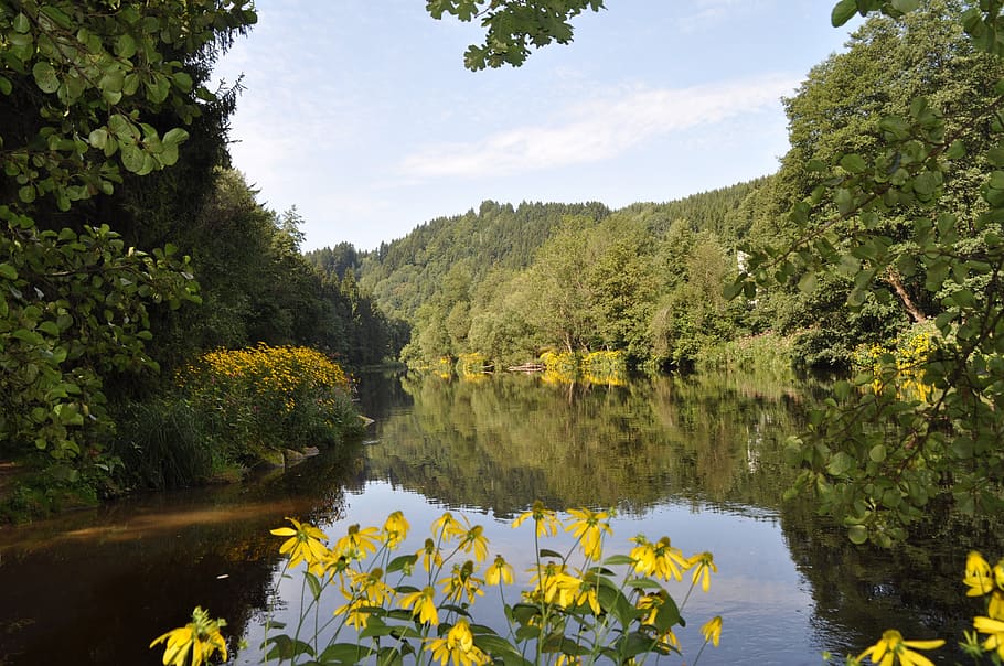river, water, ilz, plant, tree, beauty in nature, growth, flower HD wallpaper