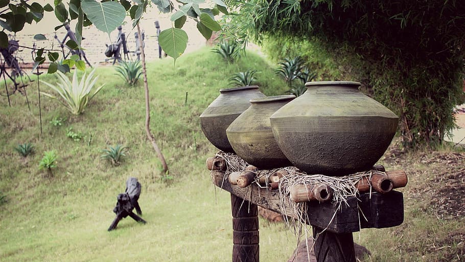 earthen jars, old, ancient, history, plant, nature, day, one person HD wallpaper