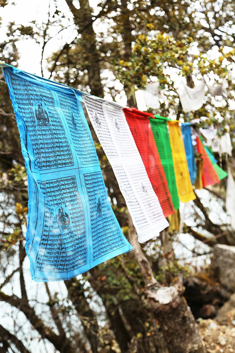 prayer flags, tibet, basong, lake, color, hanging, multi colored, HD wallpaper
