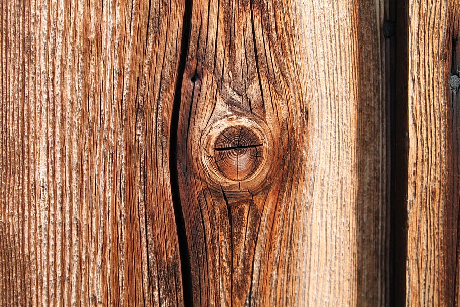Wood, Knothole, Tree, Nature, Log, Brown, texture, weathered HD wallpaper