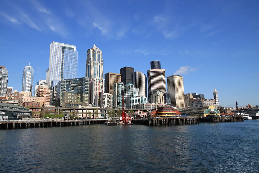 architectural photography of city buildings near body of water HD wallpaper