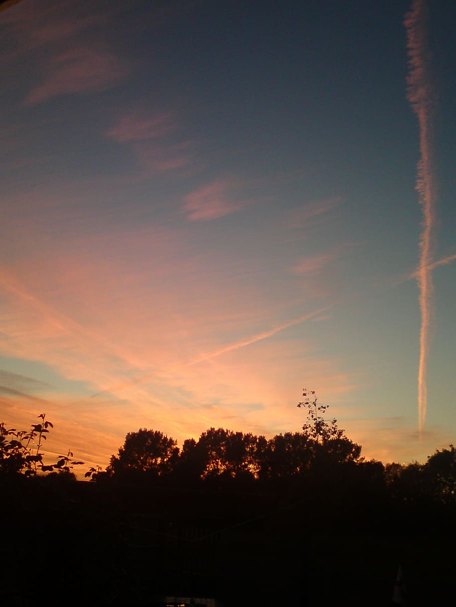pink, blue, sky, sunset, trees, silhouette, sunlight, nature HD wallpaper