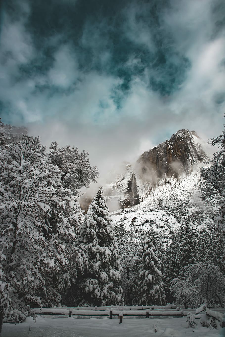 mountain and forest covered with snows, snow cover trees near mountain HD wallpaper