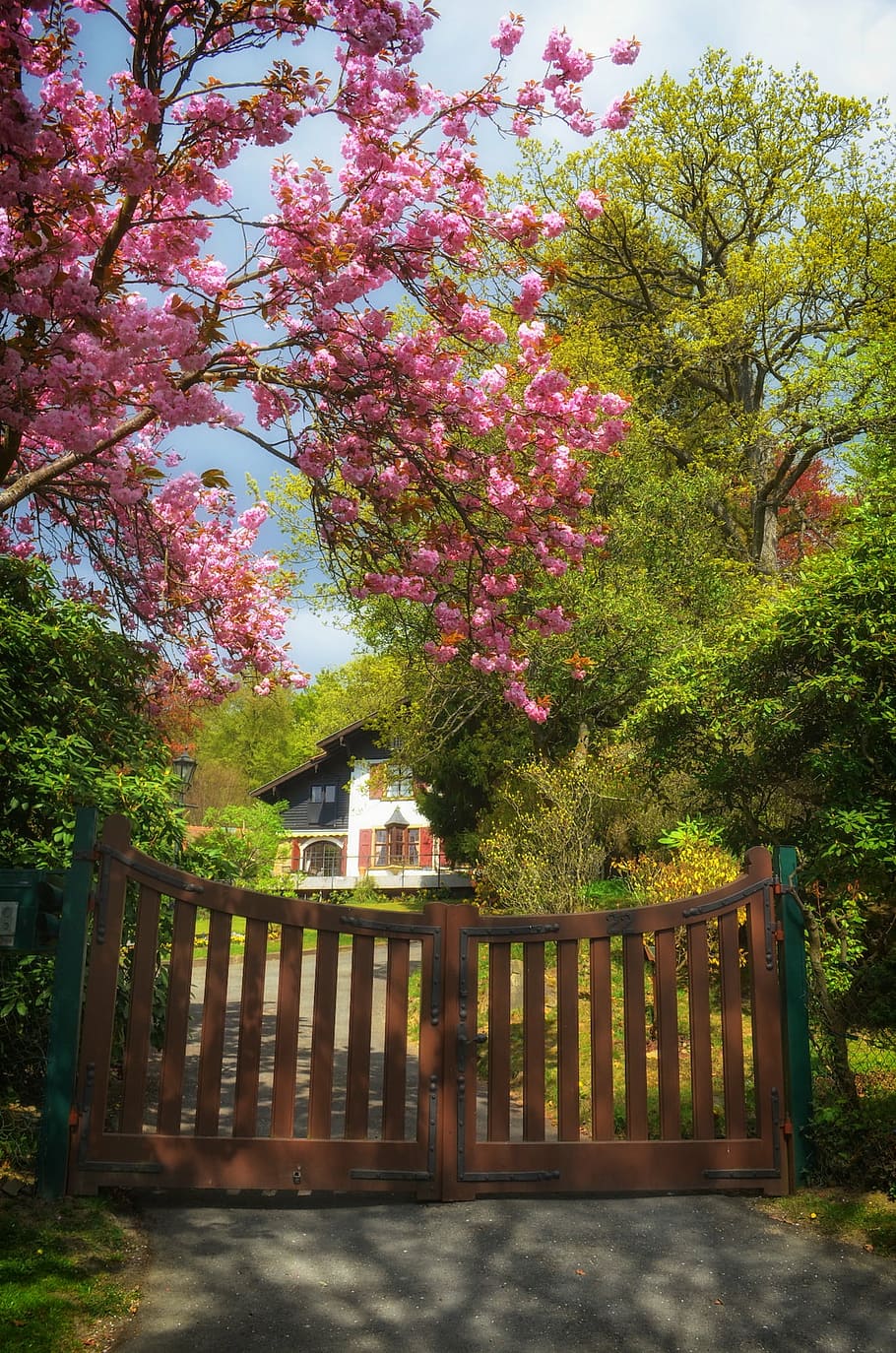 pink and green foliage trees near gate, germany, house, home HD wallpaper