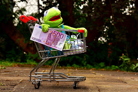 kermit-shopping-cart-shopping-frog-thumbnail.jpg