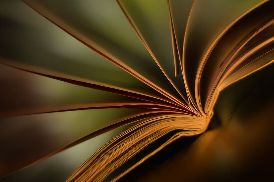 book, screen, climate, mood, range, light, a special moment HD wallpaper