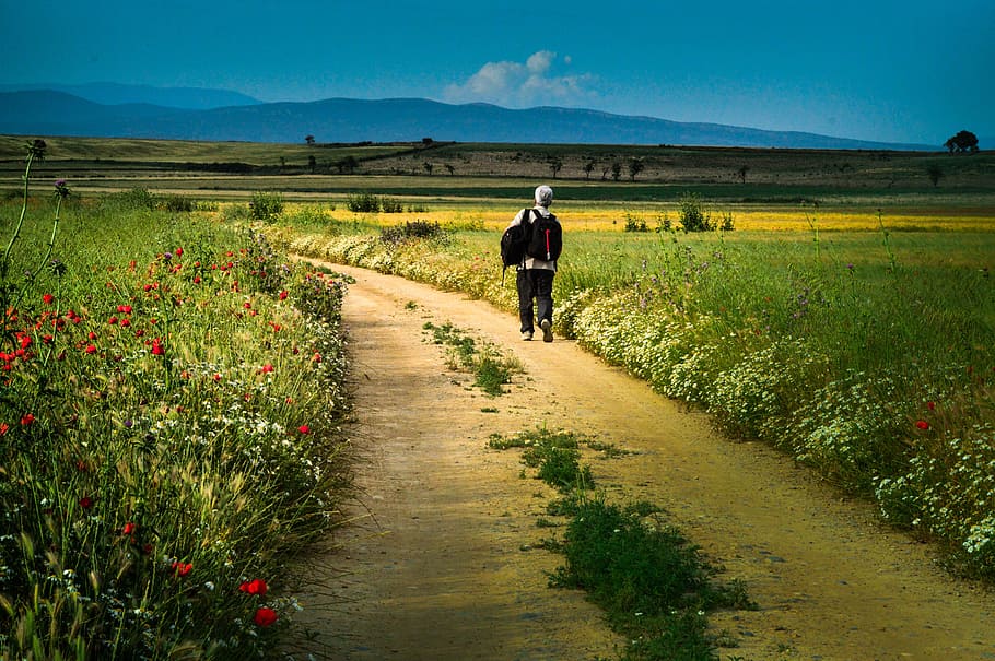 Walker, Solo, Path, rear view, agriculture, field, farm, rural scene HD wallpaper