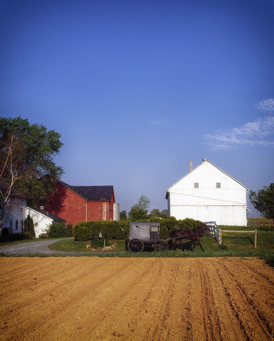 800+ Amish House Stock Photos, Pictures & Royalty-Free Images - iStock