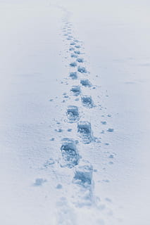 footprint in snow, footsteps on snow, boot, impression, winter HD wallpaper