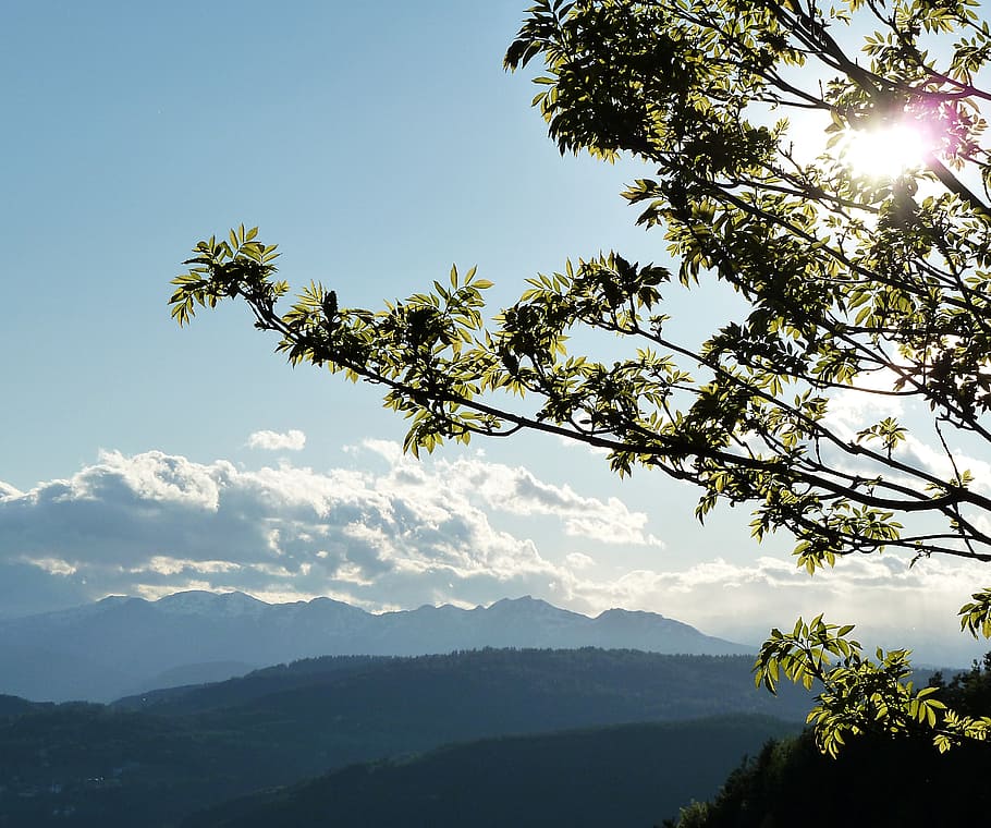 alpine, tree, blue, cloud, day, daylight, europe, green, italy HD wallpaper