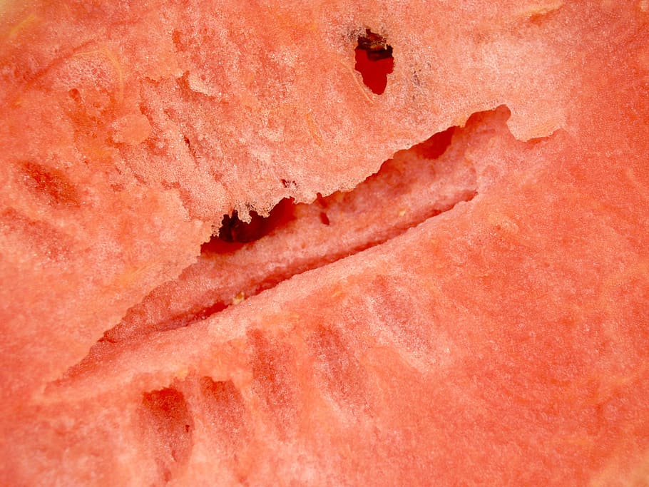 watermelon, slice, isolated, seeded, delicious, tropical, dessert HD wallpaper