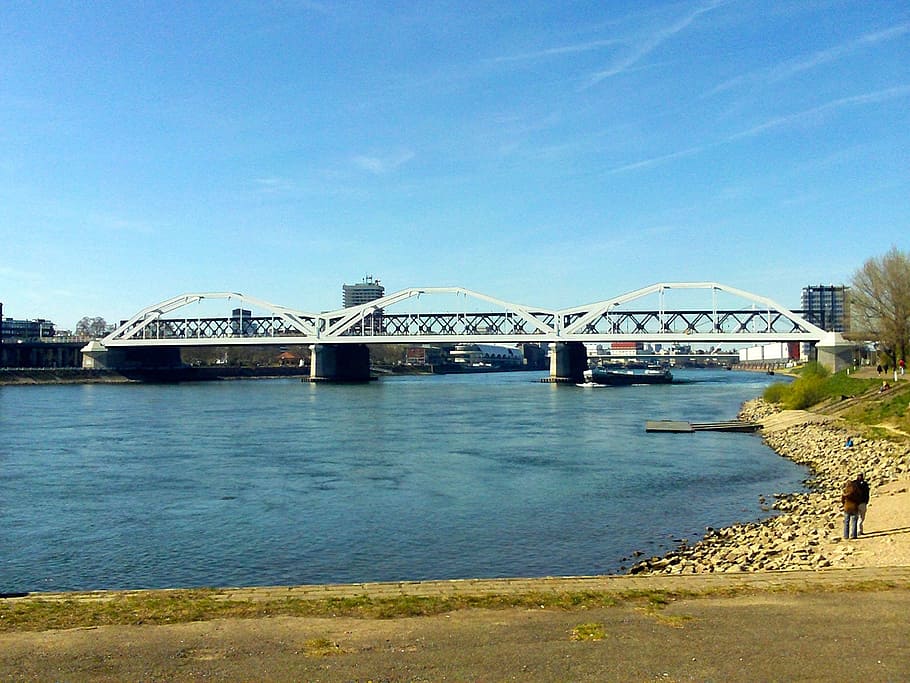rheinbrücke, rhine, river landscape, ludwigshafen, water, built structure