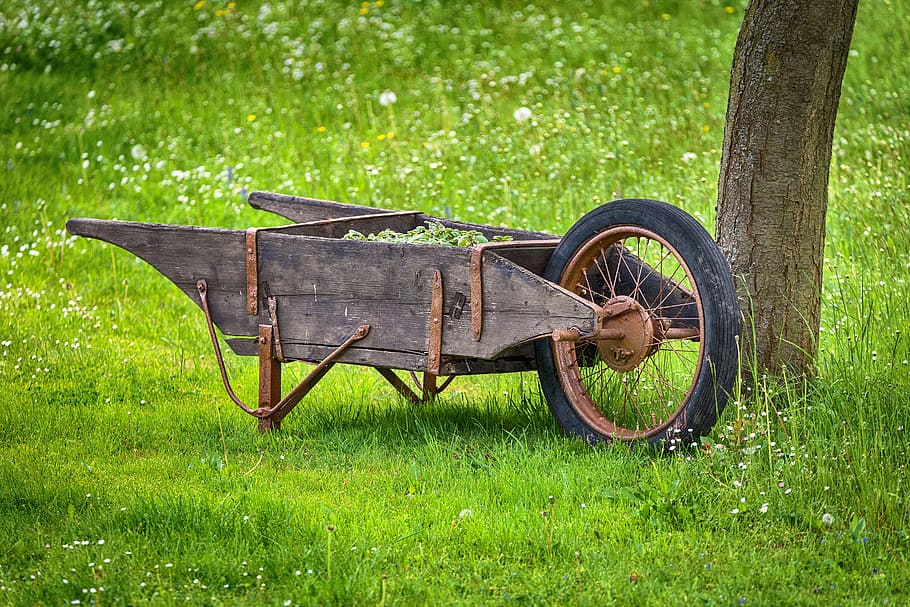 wood, landscape, field, countryside, agriculture, cart, close-up