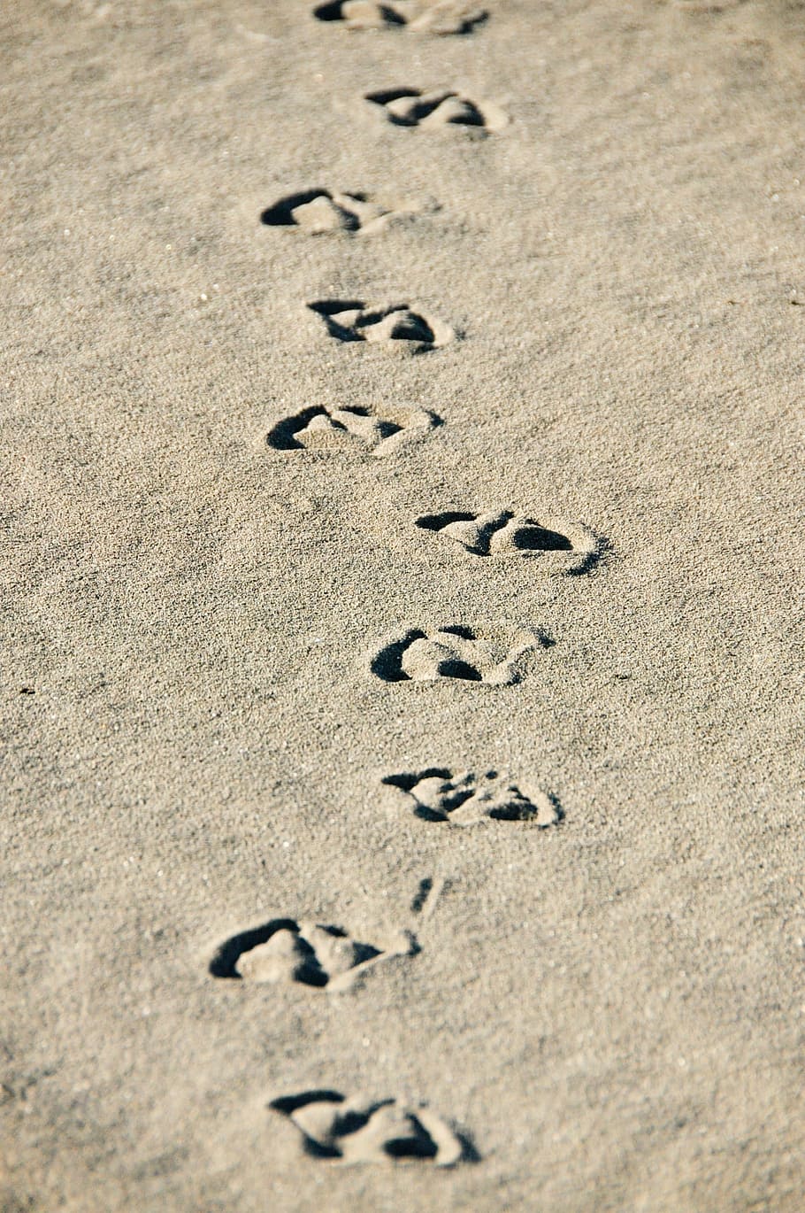 Sand, Beach, Footprints, Duck, handwriting, text, track - Imprint HD wallpaper