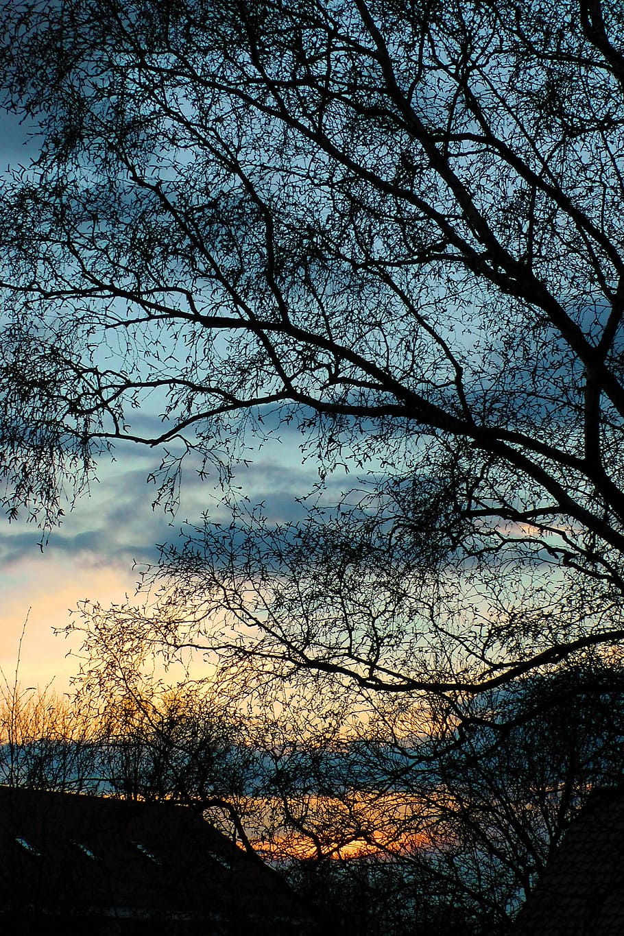 sunset, colourful clouds, afterglow, romantic, mood, tree, plant HD wallpaper