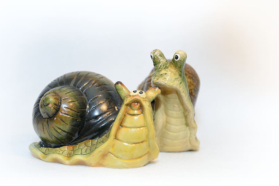 Worm, Snail, Conch, Garden, slowly, spiral, invasion, snail shell HD wallpaper
