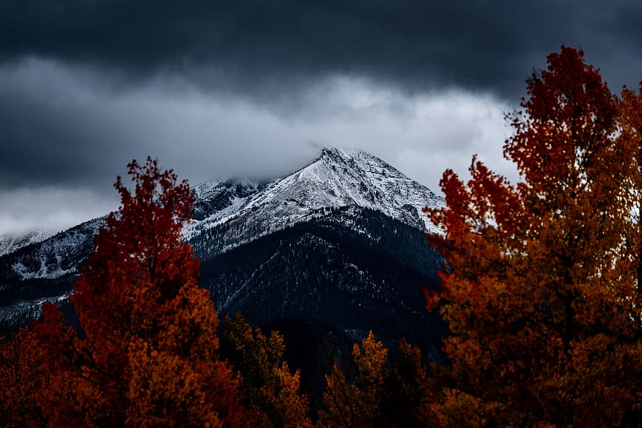 mountain under heavy clouds, gray mountain under cloudy sky, tree HD wallpaper