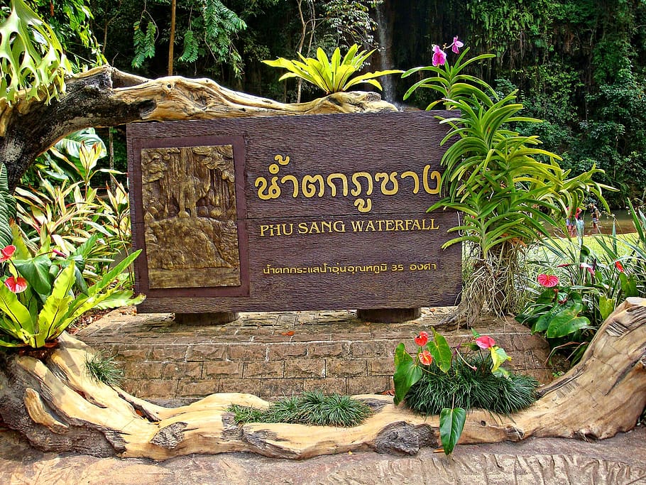 phu sang, phayao, thailand, text, western script, plant, communication, HD wallpaper