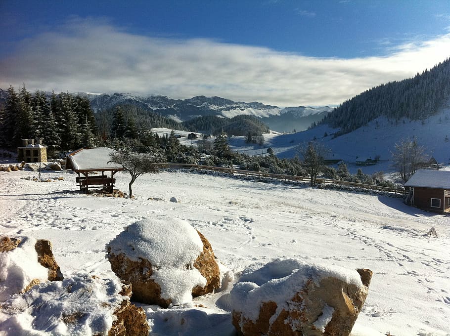 winter, snow, landscape, mountain, fundata, cold, cold temperature HD wallpaper