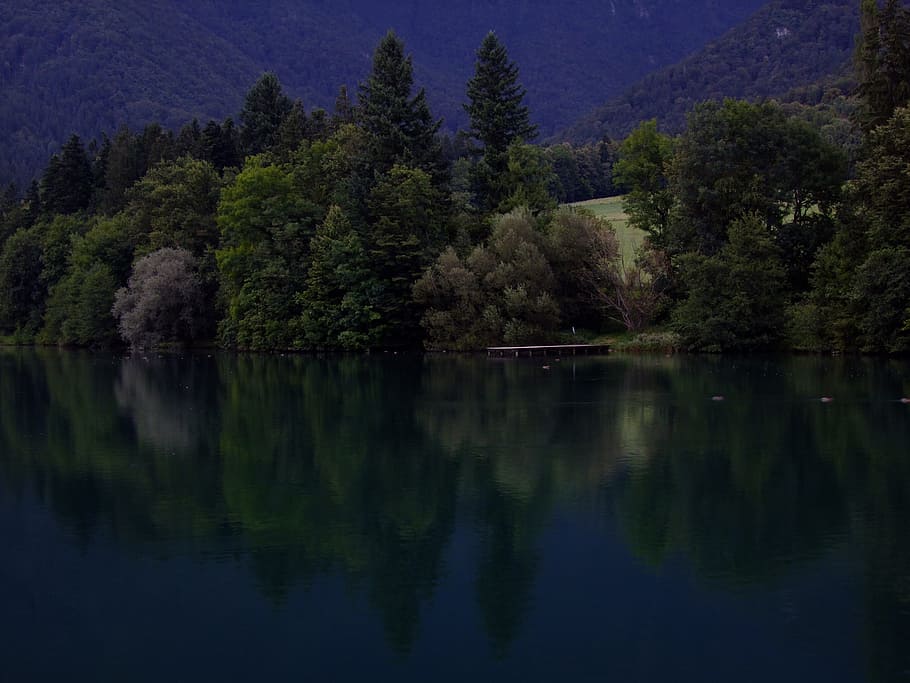 Lake, Trees, Reflection, Water, Nature, evening, night, slovenia HD wallpaper