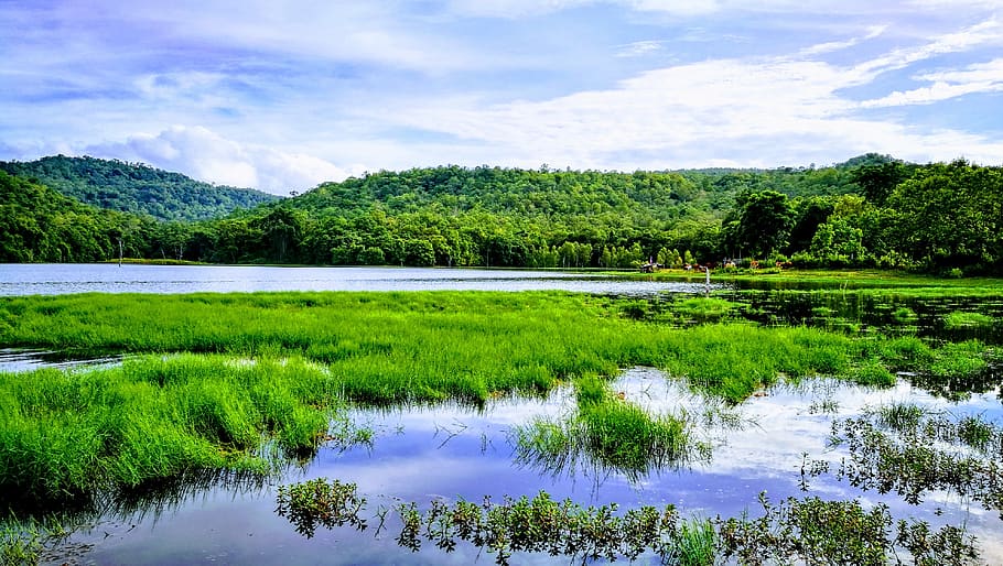 green, water, refreshing, sky, plant, tree, scenics - nature HD wallpaper