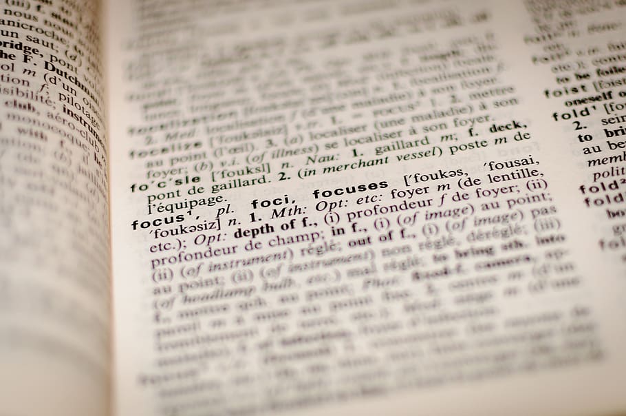 dictionary, focus, book, word, text, education, information HD wallpaper