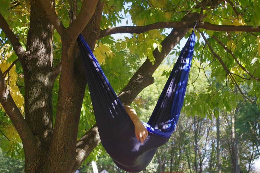 person lying on hammock, relax, tree, shade, sleep, nap, plant HD wallpaper