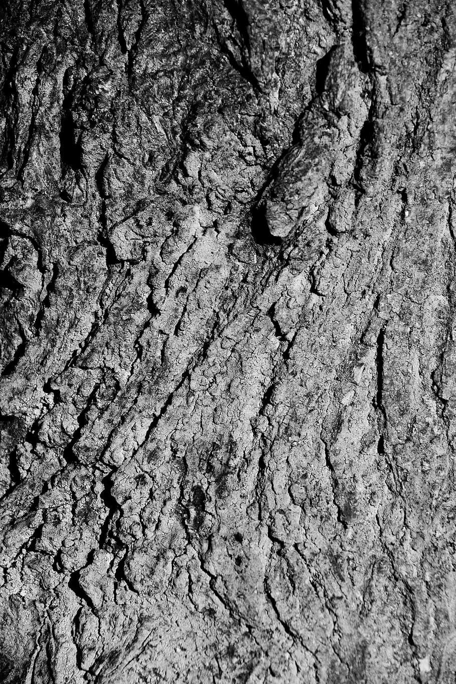 Abstract, Background, Bark, Detail, material, natural, nature HD wallpaper